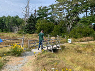 Hiking the beautiful Acadia Mountains